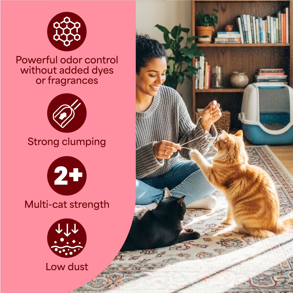 Simply Unscented Multi Cat Clumping Litter, 22 Lb