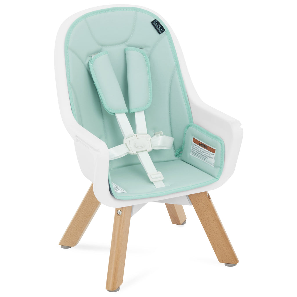 Zoodle 2-In-1 High Chair Booster Feeding Chair with Modern Design, Mint