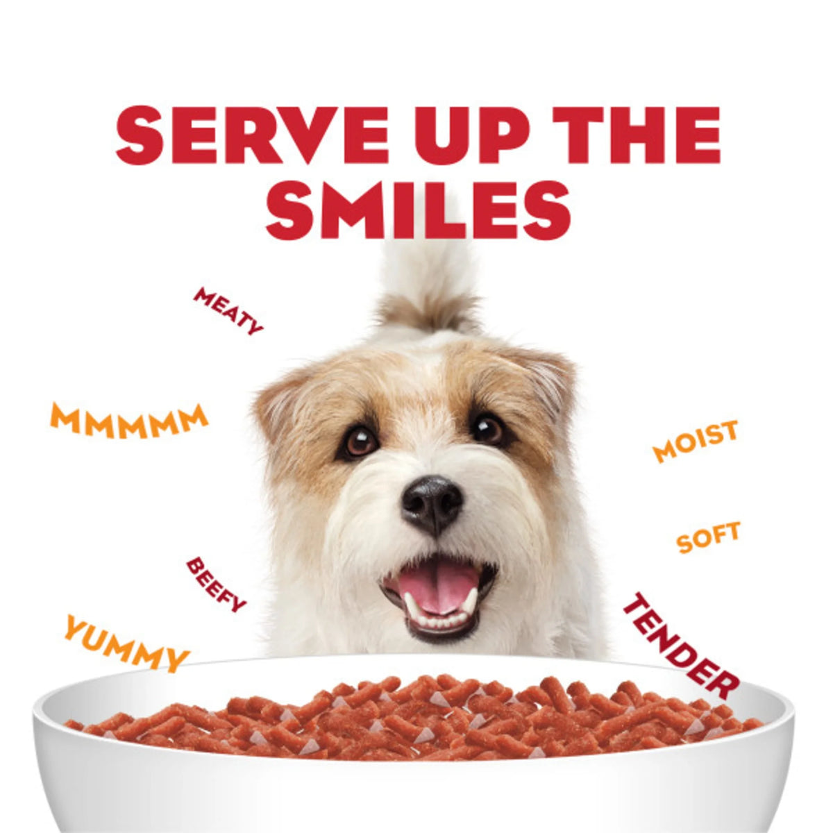Purina  Dry Dog Food, High Protein Steak Flavor with Real Beef, 12 Count