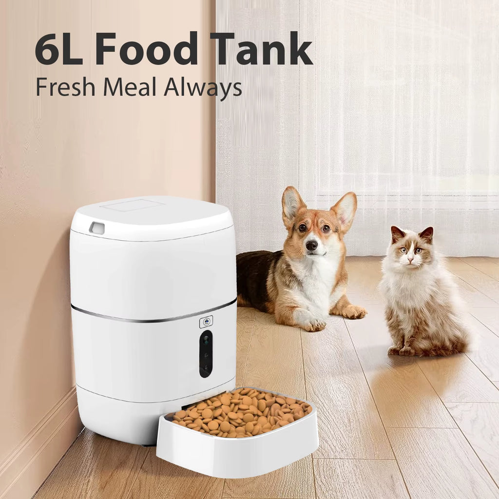 2026 Cat Automatic Feeder Visual Cat Food Dog Food Wifi Intelligent Timed Quantitative Pet Food Dispenser 6L Video Model Cat