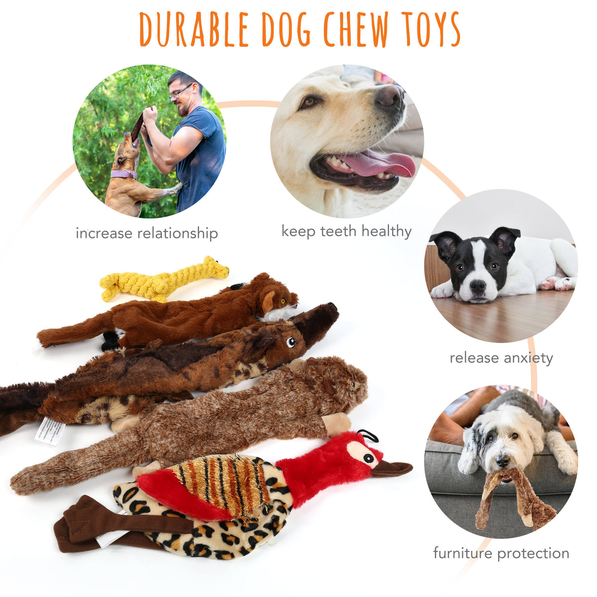 5Pcs Dog Squeaky Toys for Small Medium Dog, No Stuffing