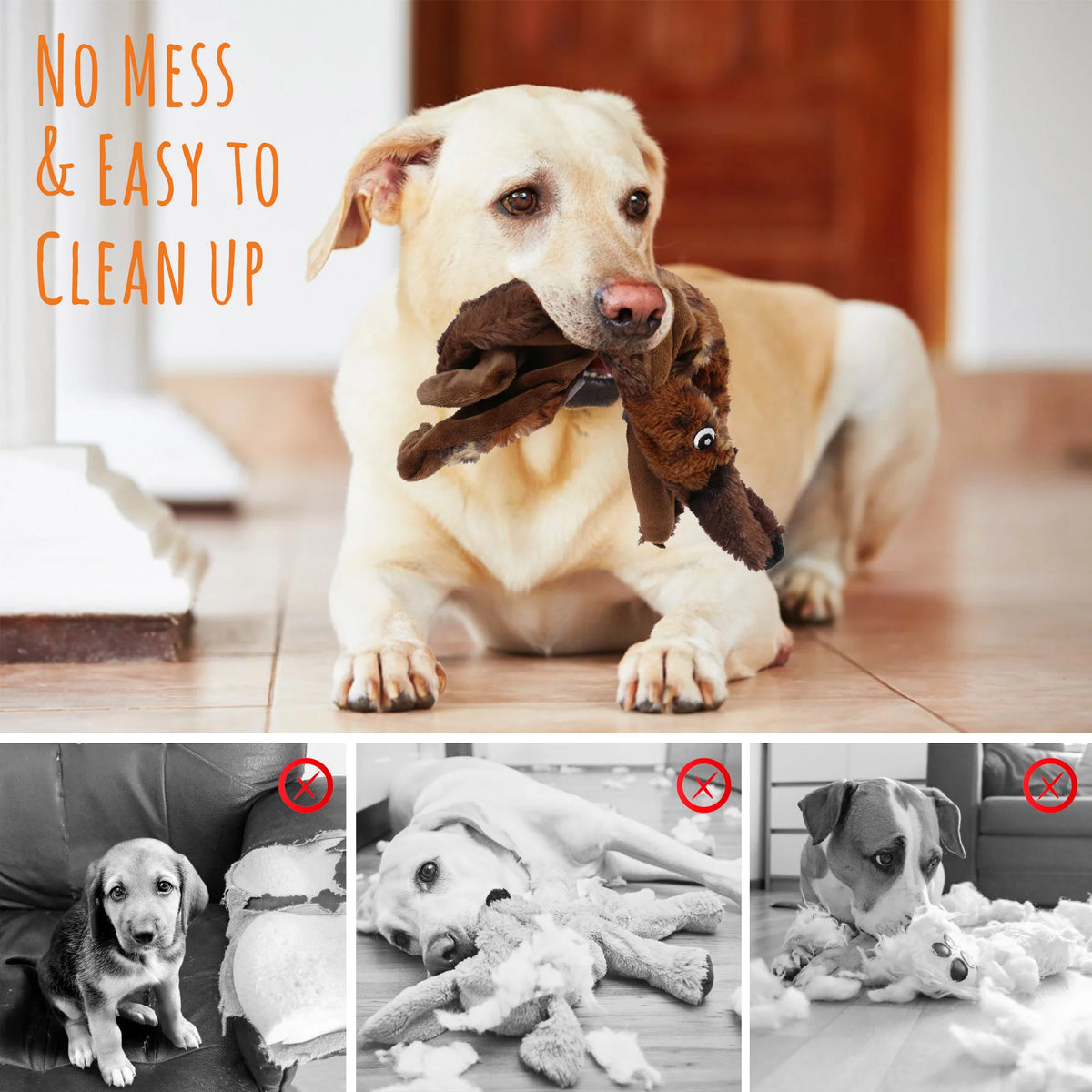 5Pcs Dog Squeaky Toys for Small Medium Dog, No Stuffing