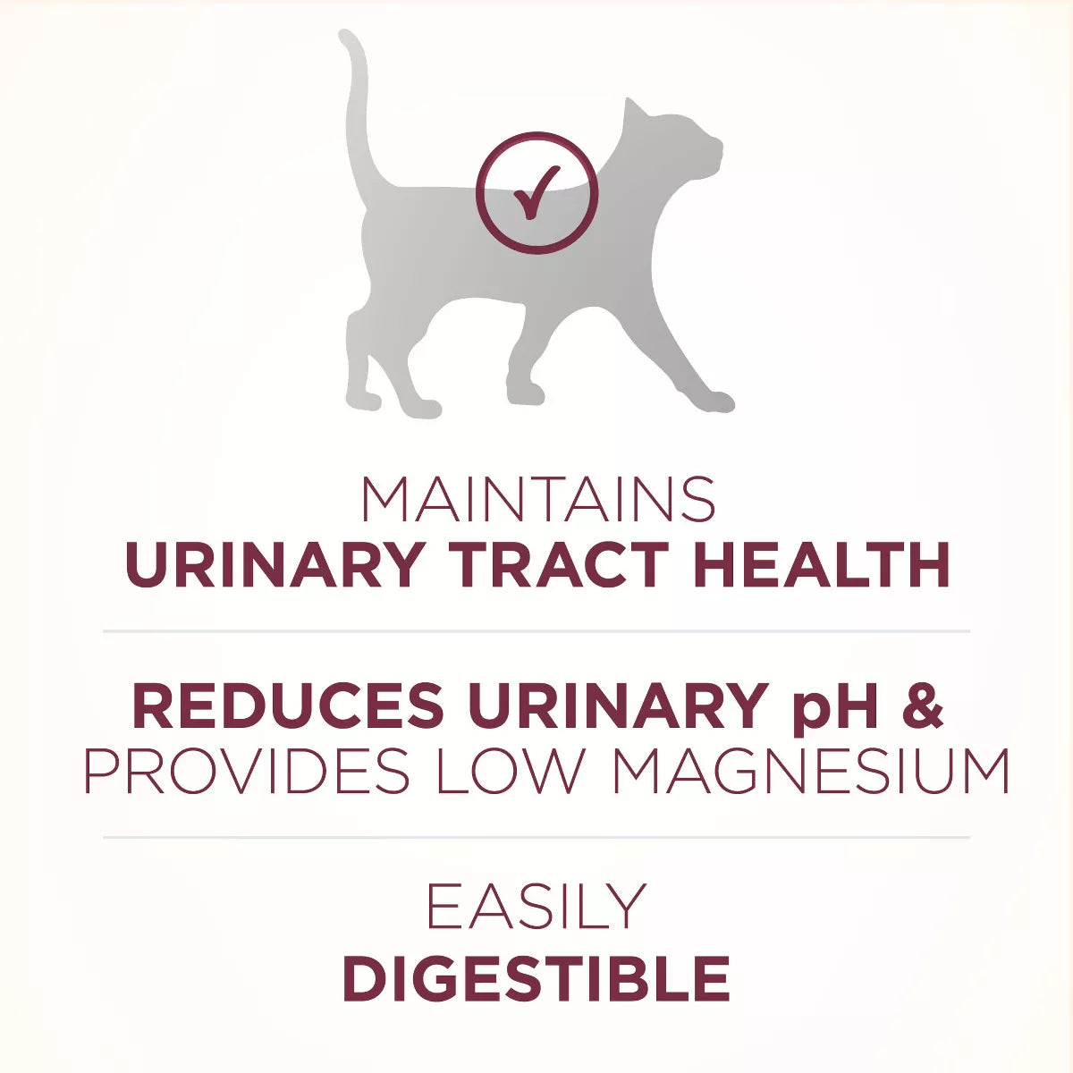 Purina ONE Urinary Tract Health Formula Natural Chicken Flavor Dry Cat Food